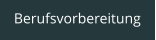 Berufsvorbereitung